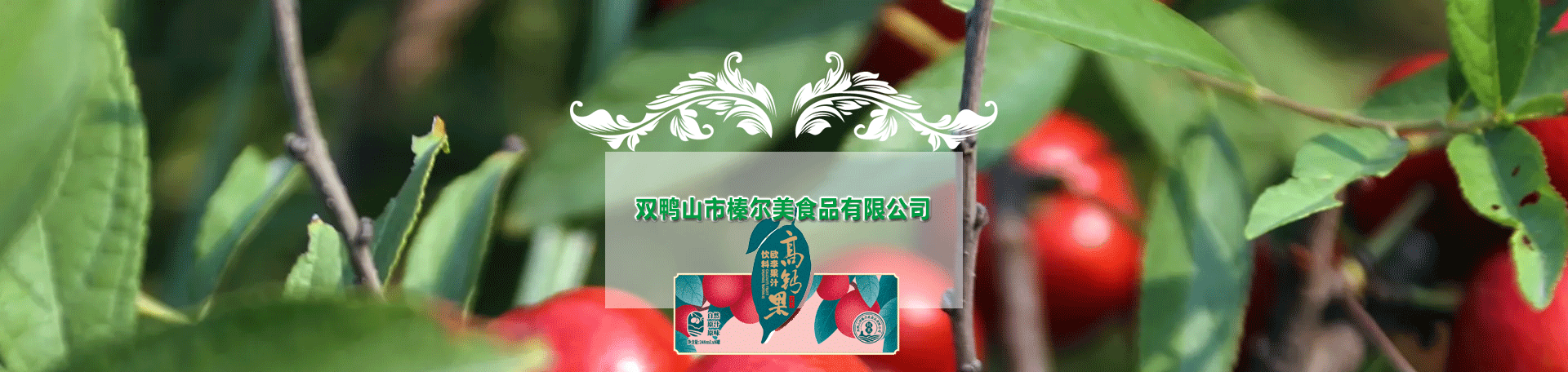 公司環境